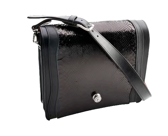 Laptop Tasche, Anaconda, Edelstahl — Taschen