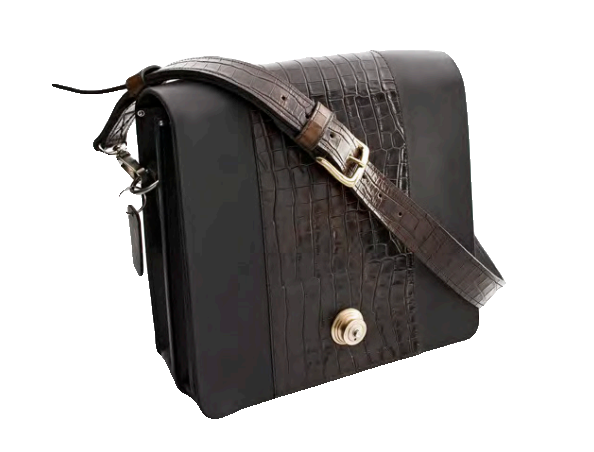 Laptop Tasche, Rind, Kroko, Messing — Taschen